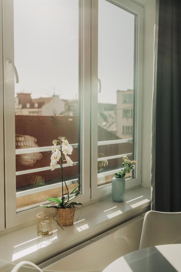 New Equipped Apartment In The City Center بلزن المظهر الخارجي الصورة